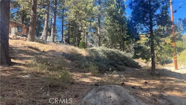 33275 Iris Drive, Green Valley Lake, CA 92341