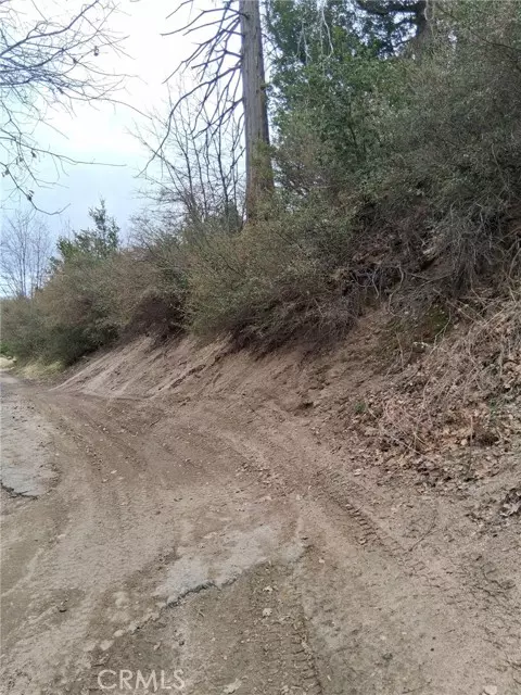 Cedar Glen, CA 92321,0 Pine Drive