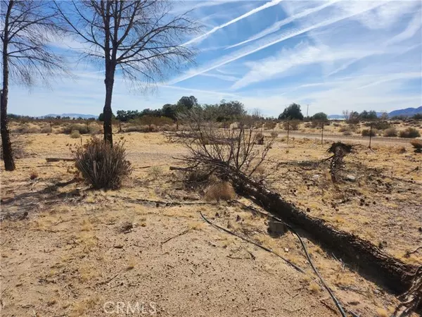 Newberry Springs, CA 92365,42584 Summerset Road