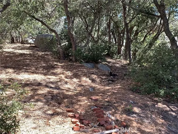 Green Valley Lake, CA 92341,33010 Juniper Lane