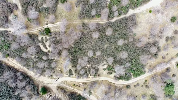 Cedar Glen, CA 92321,0 walnut