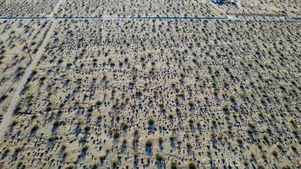Joshua Tree, CA 92252,0 Cottonwood