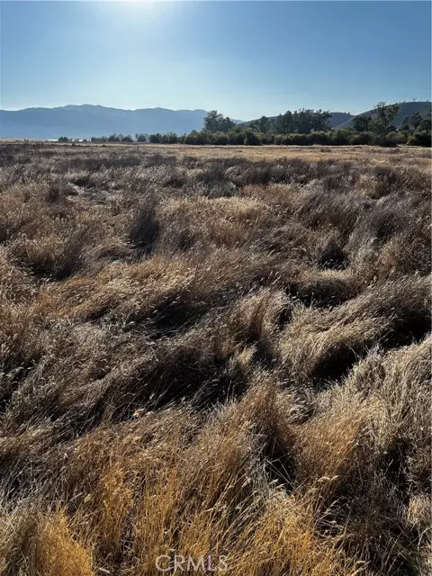 Lake Elsinore, CA 92530,0 Morton