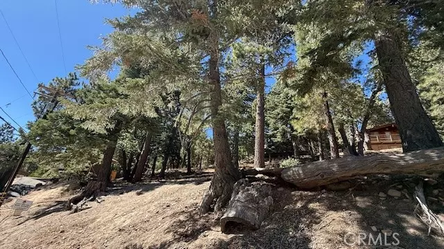 33112 Juniper Lane, Green Valley Lake, CA 92341