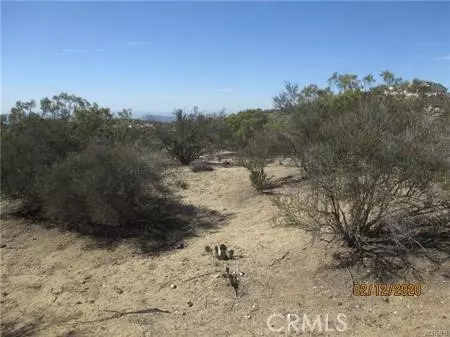 Aguanga, CA 92536,0 Dove Drive