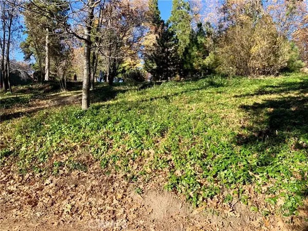 Running Springs, CA 92382,40 Park