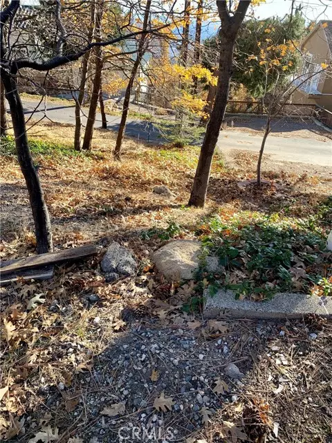 Running Springs, CA 92382,40 Park