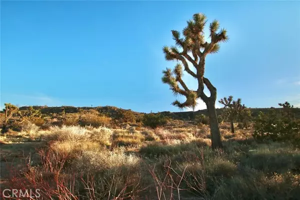 Yucca Valley, CA 92284,0 Mt View