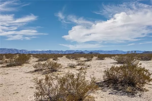 1300 Mt Shasta, Joshua Tree, CA 92252