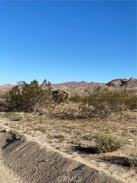 Joshua Tree, CA 92252,0 29 Palms Hwy