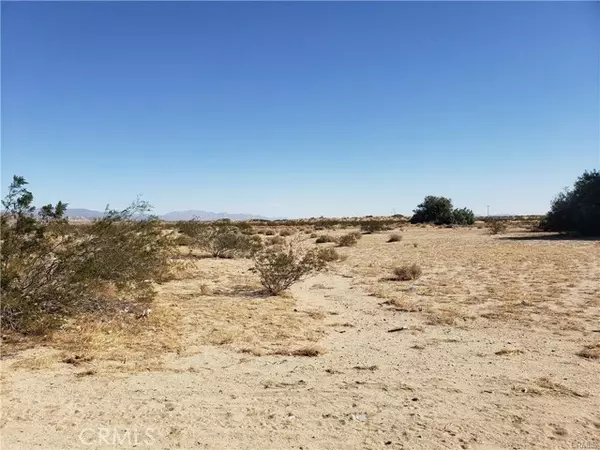 Twentynine Palms, CA 92277,3995 Adobe Road