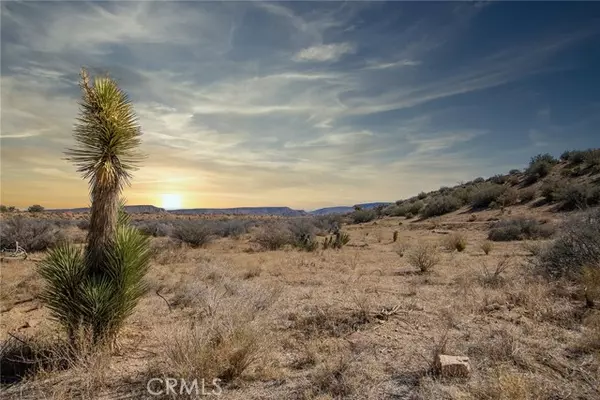 50600 Burns Canyon Road, Pioneertown, CA 92268