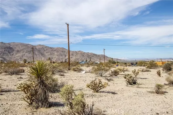 Twentynine Palms, CA 92277,7600 Bedouin Avenue