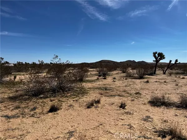 Landers, CA 92285,175 Rainbow Road