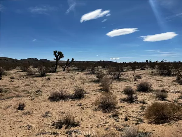 Landers, CA 92285,175 Rainbow Road