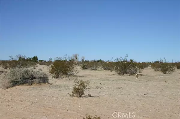 Twentynine Palms, CA 92277,0 Amboy Road