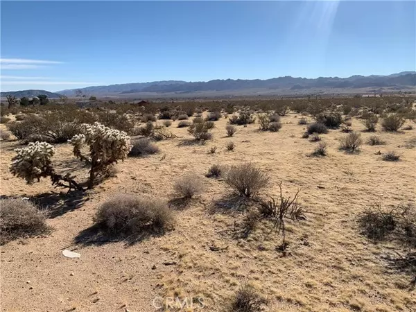 Joshua Tree, CA 92252,62259 Dixie Lane