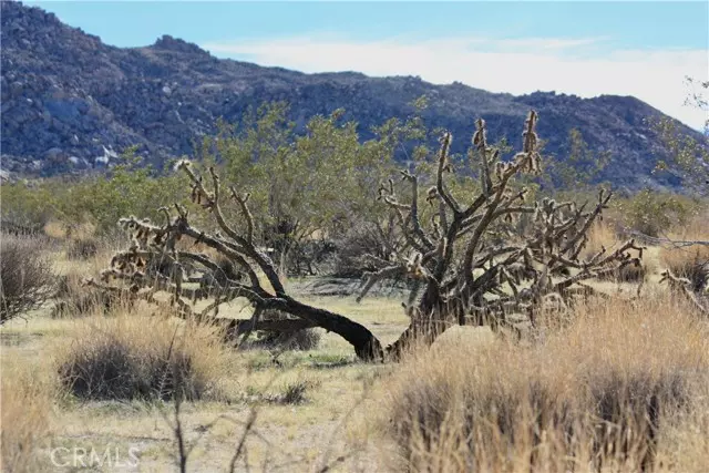 Joshua Tree, CA 92252,64647 Foothill Drive