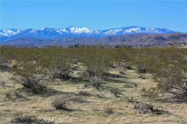 Joshua Tree, CA 92252,0 29 Palms Hwy