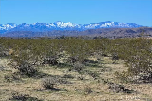 Joshua Tree, CA 92252,0 29 Palms Hwy