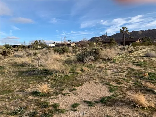 Joshua Tree, CA 92252,60300 Alta Mesa Drive