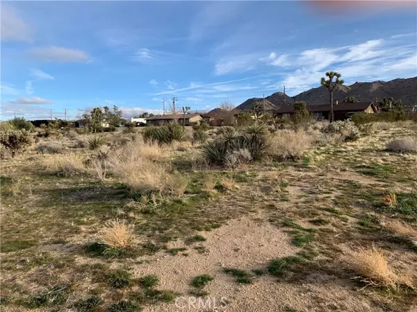 Joshua Tree, CA 92252,60300 Alta Mesa Drive