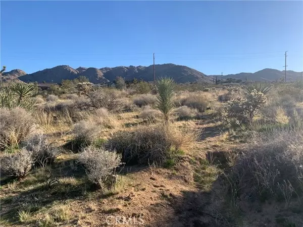 Joshua Tree, CA 92252,60300 Alta Mesa Drive