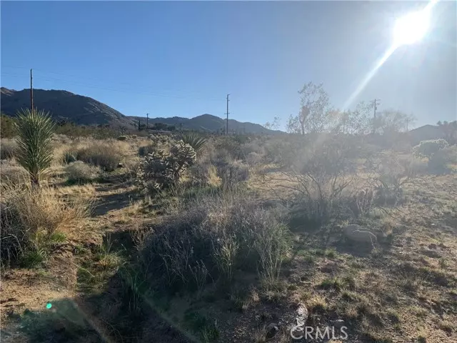 Joshua Tree, CA 92252,60300 Alta Mesa Drive