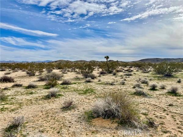 0 Willies Way, Joshua Tree, CA 92285