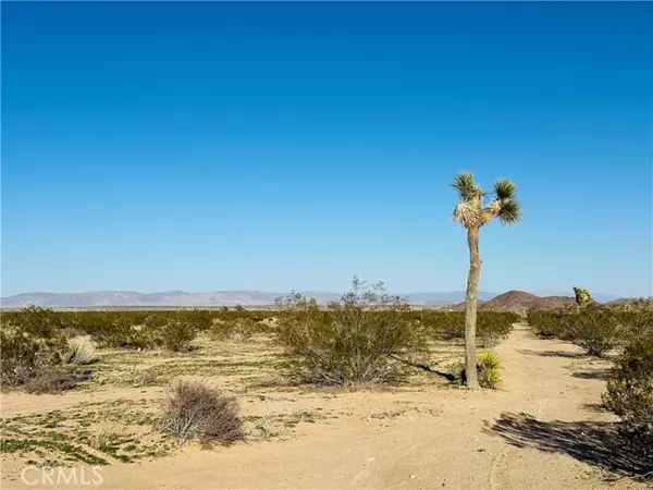 Joshua Tree, CA 92252,1974 Sunset Road