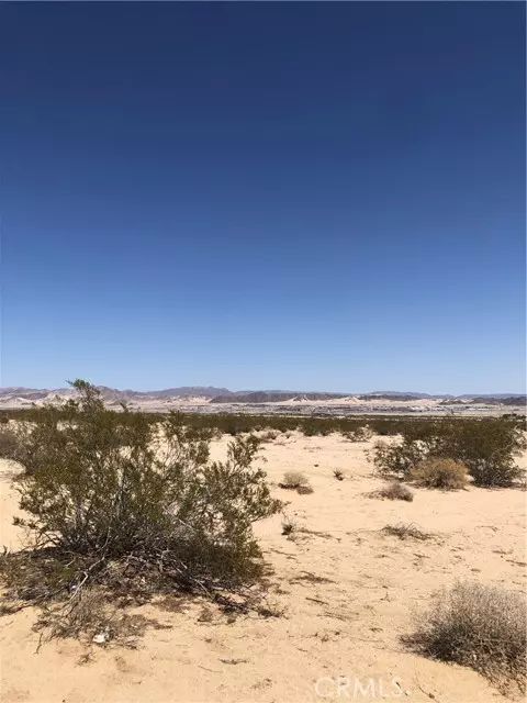 Twentynine Palms, CA 92277,71440 Palmyra