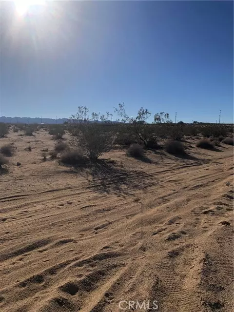 Twentynine Palms, CA 92277,71440 Palmyra