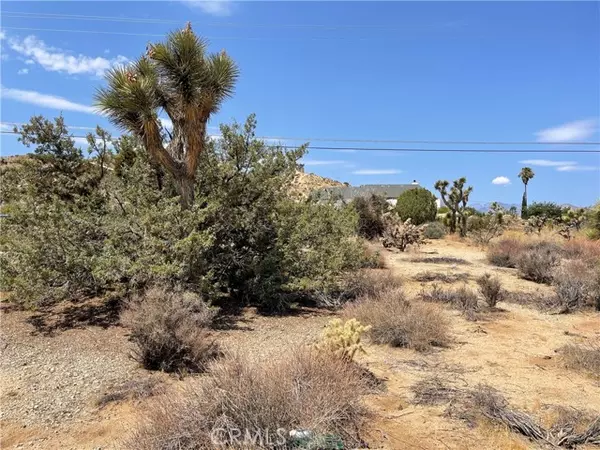 Yucca Valley, CA 92284,55740 Desert Gold Drive