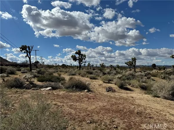 Joshua Tree, CA 92252,7654 Vista Road