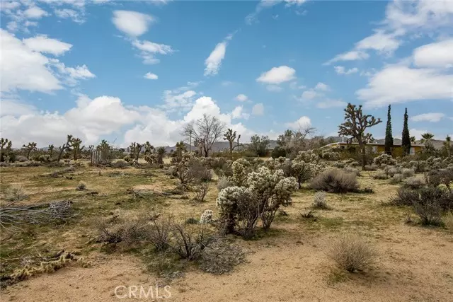 Joshua Tree, CA 92252,61329 Rocky Vista Street