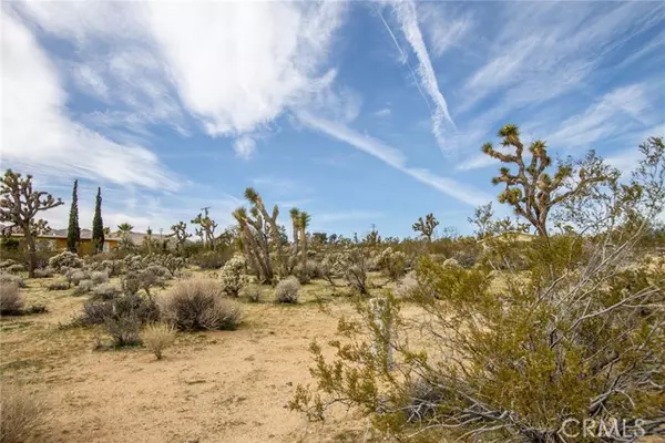 Joshua Tree, CA 92252,61329 Rocky Vista Street