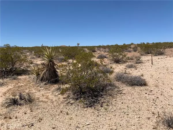 Joshua Tree, CA 92252,0 Sunny Sands Drive