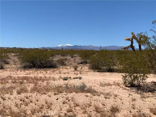 Joshua Tree, CA 92252,0 Sunny Sands Drive