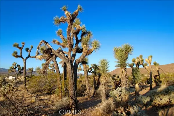 Yucca Valley, CA 92284,5374 Marvin Drive