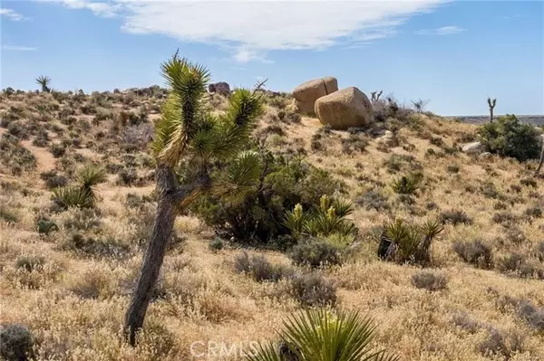 52000 Jalmar Road, Pioneertown, CA 92268