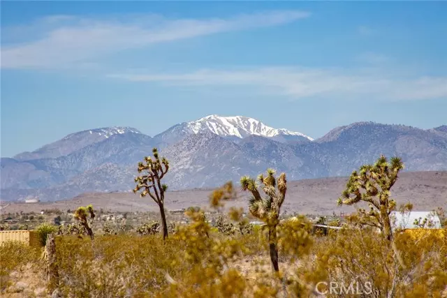 Joshua Tree, CA 92252,4444 Saddleback Drive