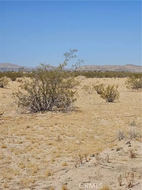 Joshua Tree, CA 92252,0 Sunflower Road