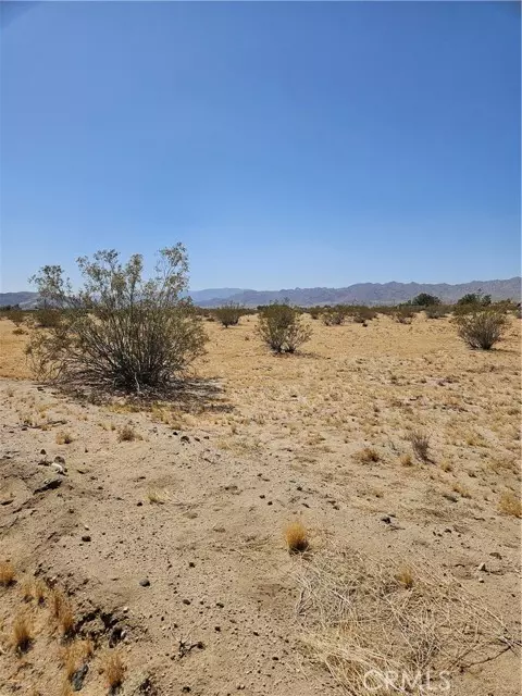 Joshua Tree, CA 92252,0 Sunflower Road