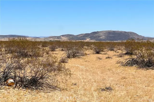 Joshua Tree, CA 92252,6335 Pelican