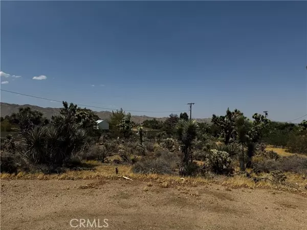 Yucca Valley, CA 92284,0 Piute