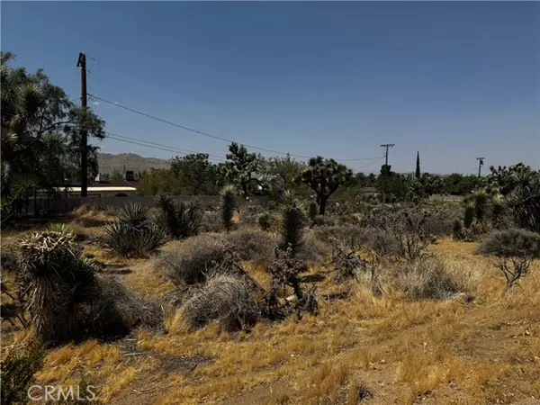 Yucca Valley, CA 92284,0 Piute