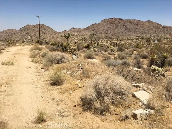 Joshua Tree, CA 92252,62551 Turtle Road