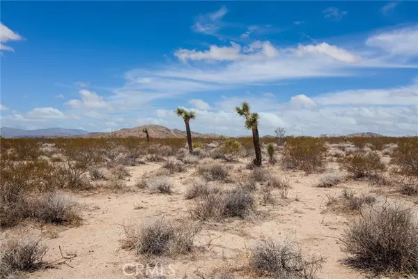 Joshua Tree, CA 92252,2000 Celeste Road