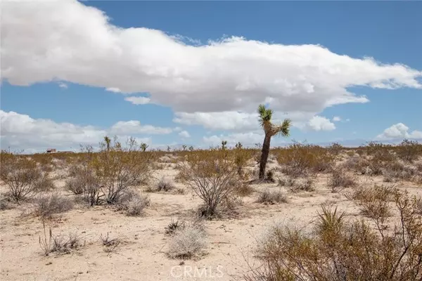 Joshua Tree, CA 92252,3000 Celeste Road