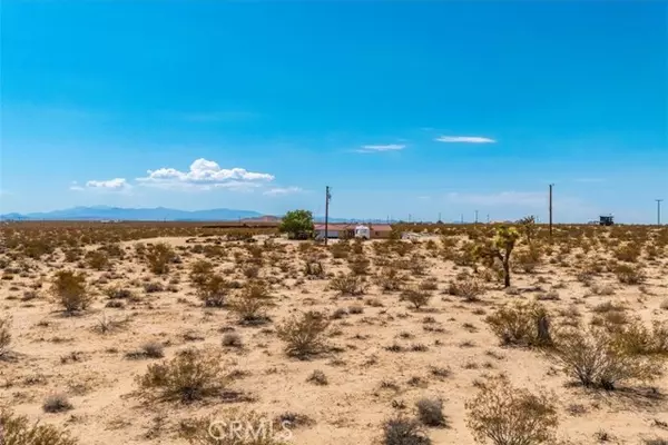 Joshua Tree, CA 92252,2183 Neptune Avenue